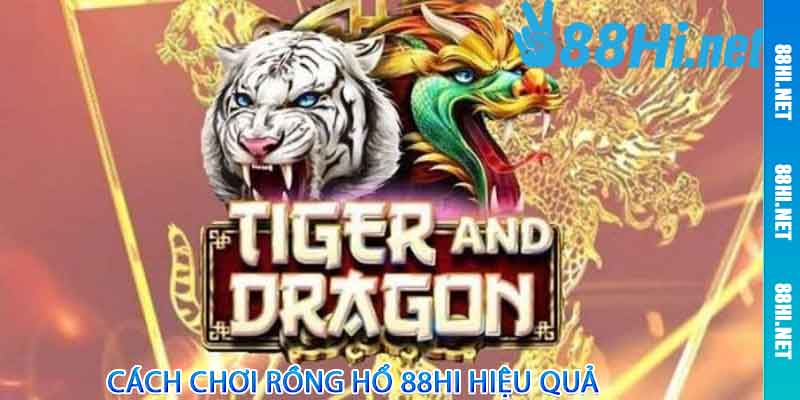 Rồng Hổ 88hi